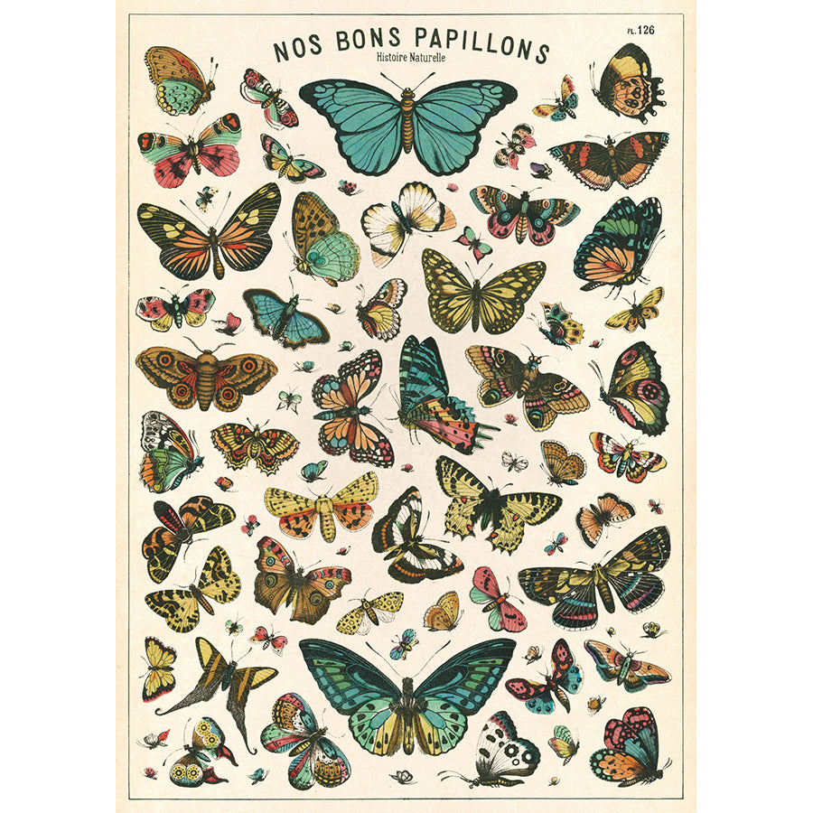 Nos Bons Papillons Butterflies Poster