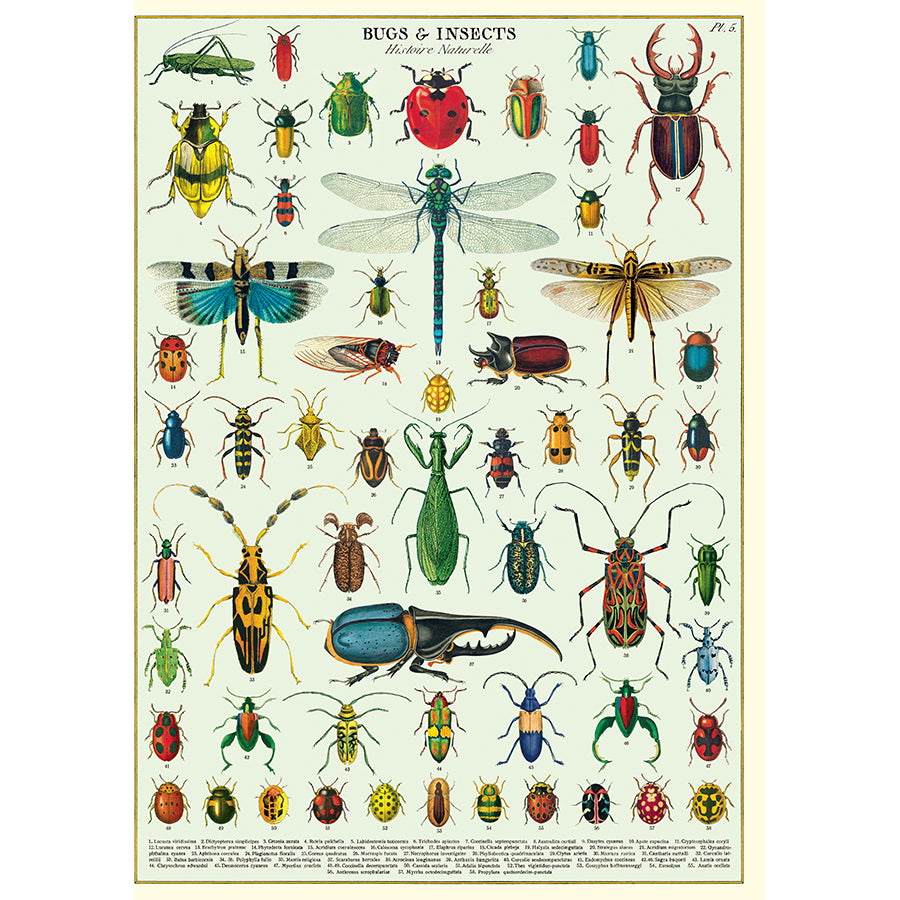 Bugs and Insects poster