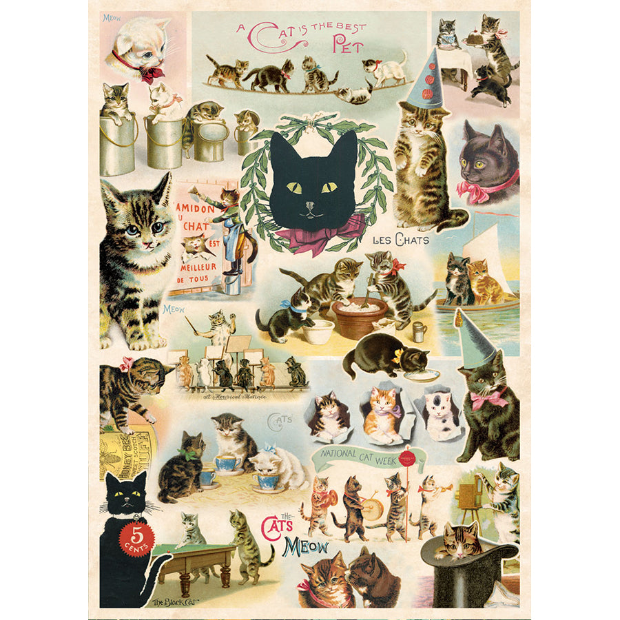 Cat Collage Poster