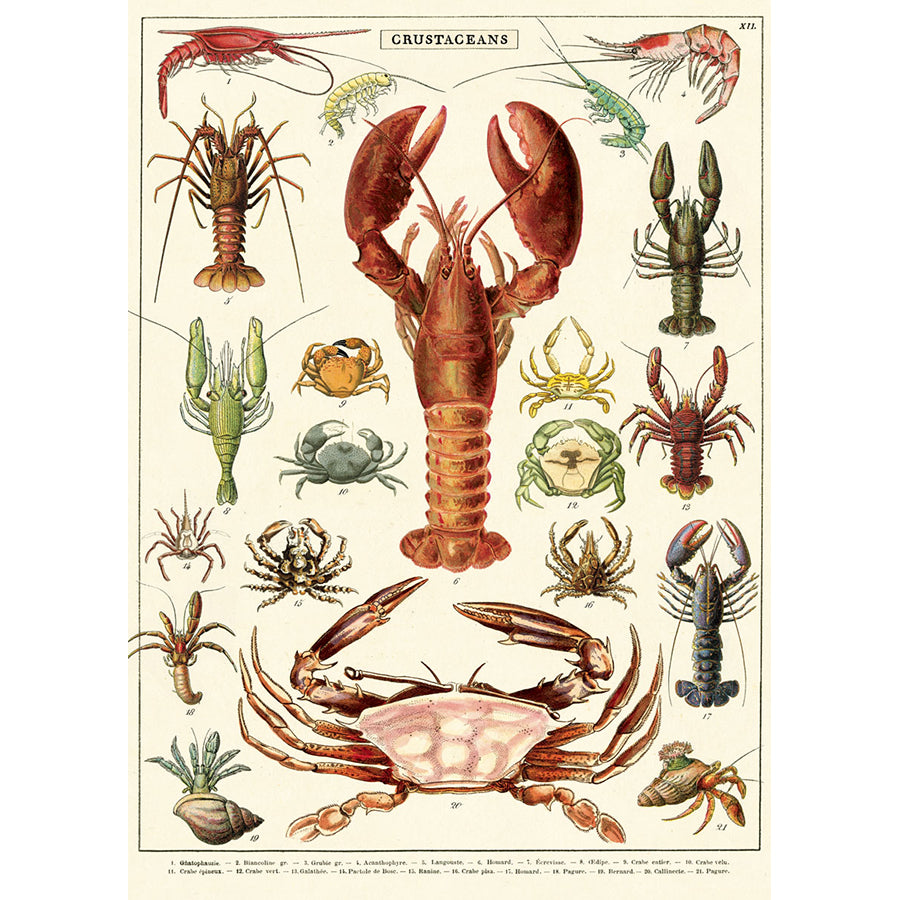 Crustaceans Poster