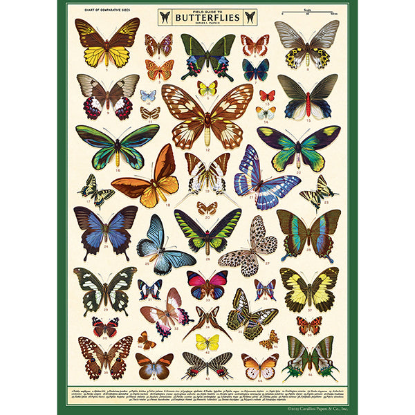 Field Guide to Butterflies Poster