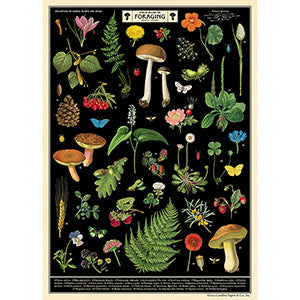 Field Guide to Foraging Poster