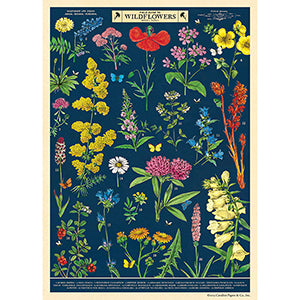Field Guide to Wildflowers Poster