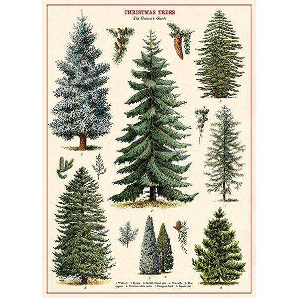 Christmas Trees Poster
