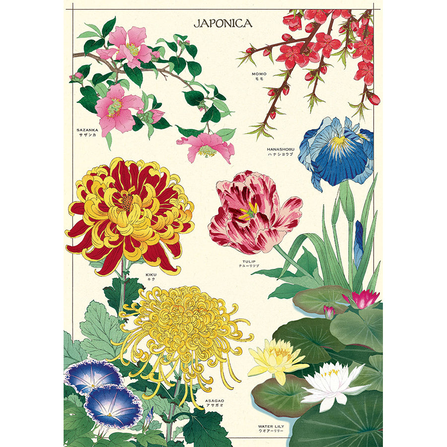 Japonica Poster