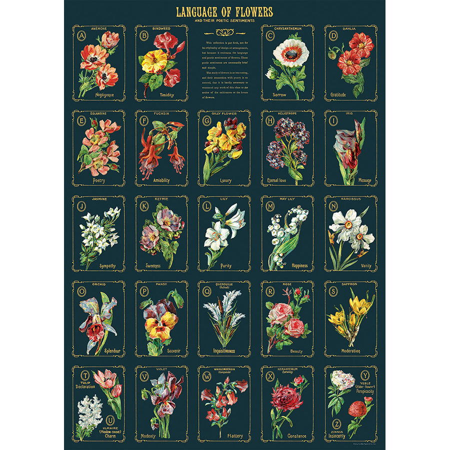 Language of Flowers Poster
