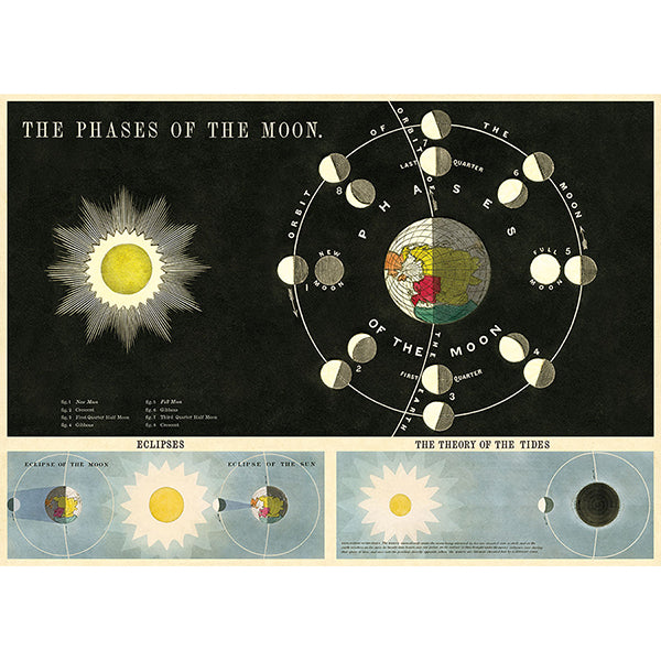 Phases of the Moon Poster