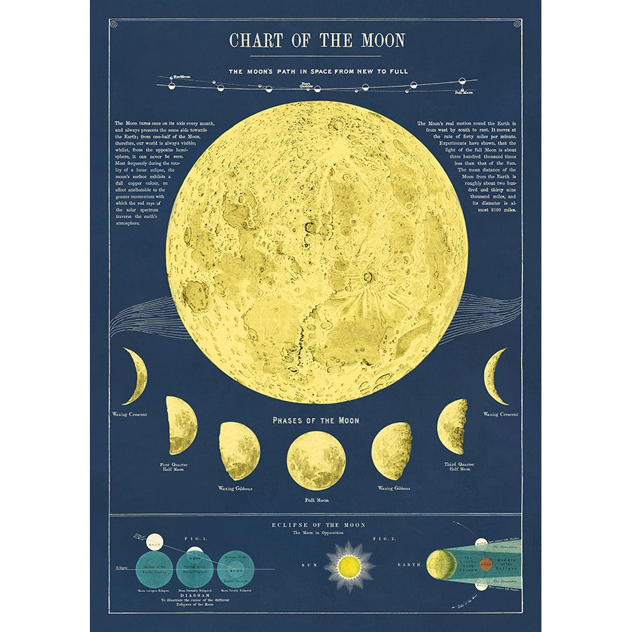 Moon Chart Poster