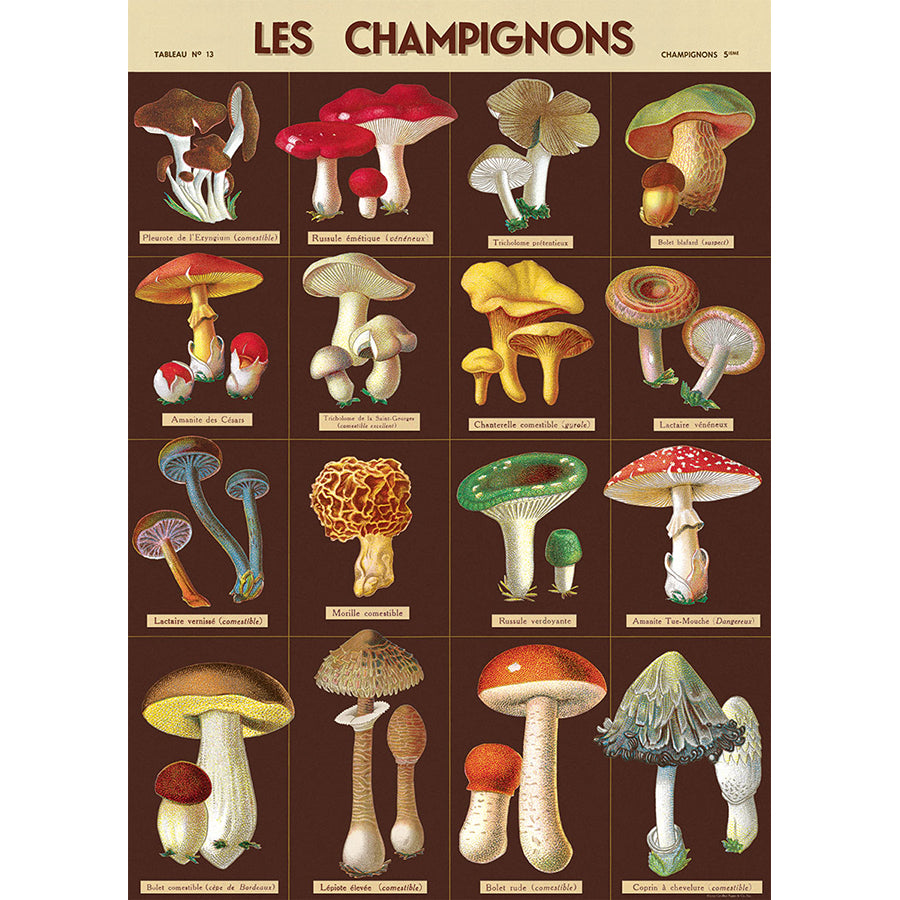 Les Champignons Poster