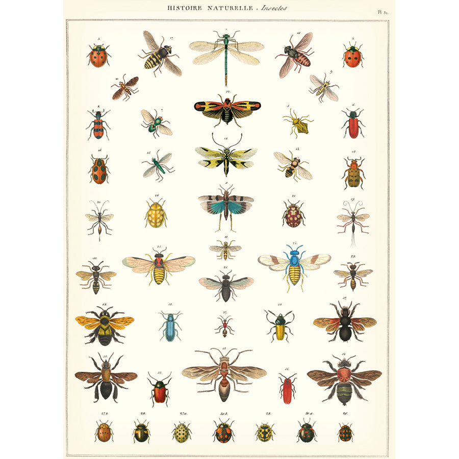 Tiny Insects Poster