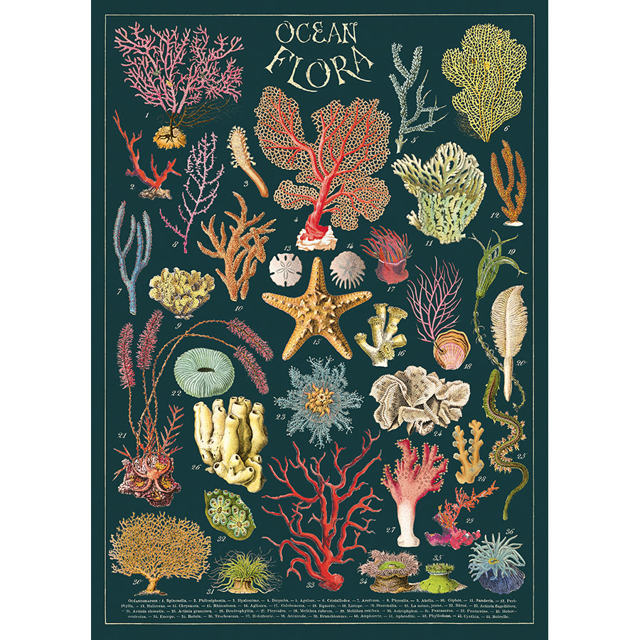 Ocean Flora Poster