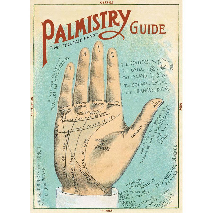 Palmistry Guide Poster