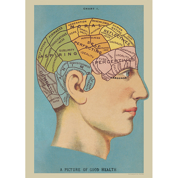 Phrenology Poster