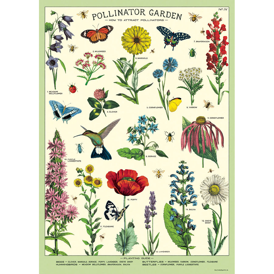 Pollinator Garden Poster