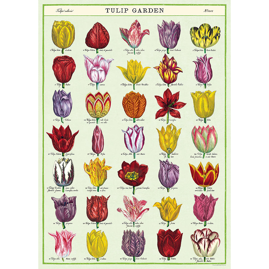 Tulip Garden Poster