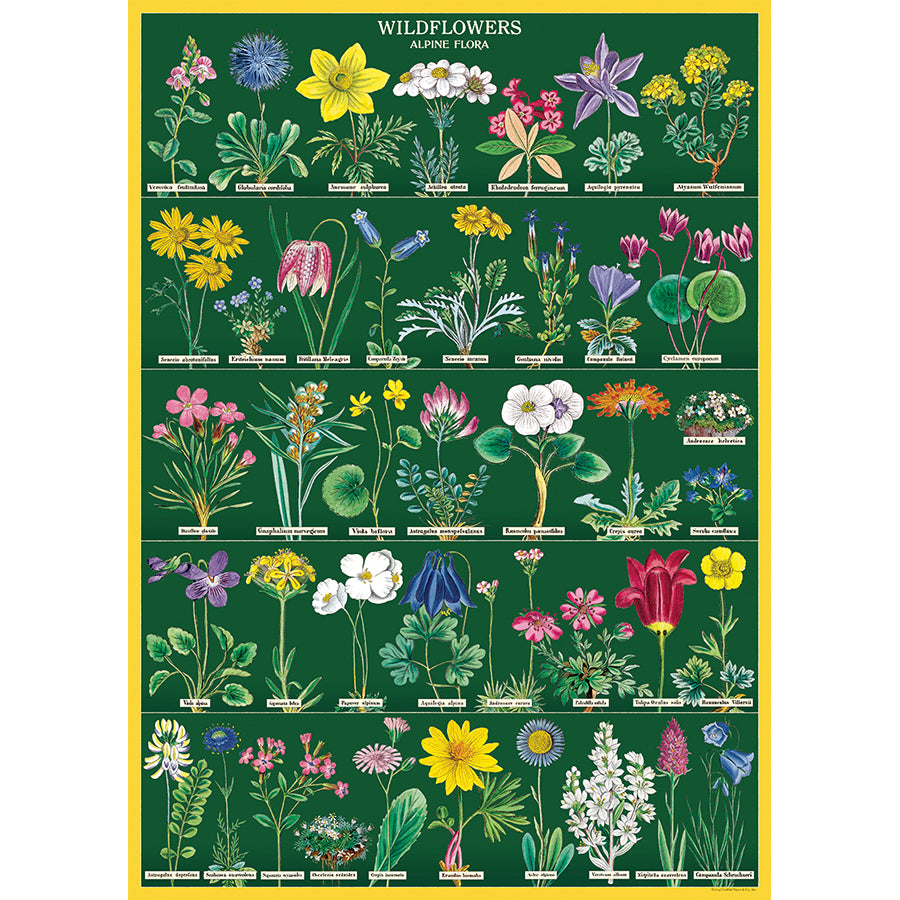 Wildflowers 2 Poster