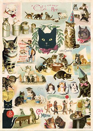 Cat Collage Poster