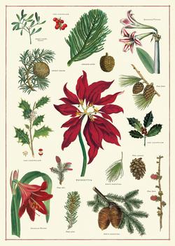 Christmas Botanical Poster