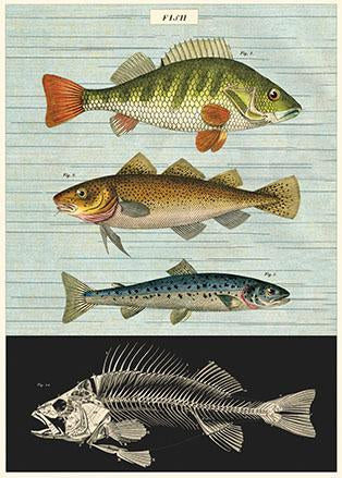 Fish Poster