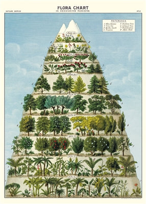 Flora Pyramid Poster