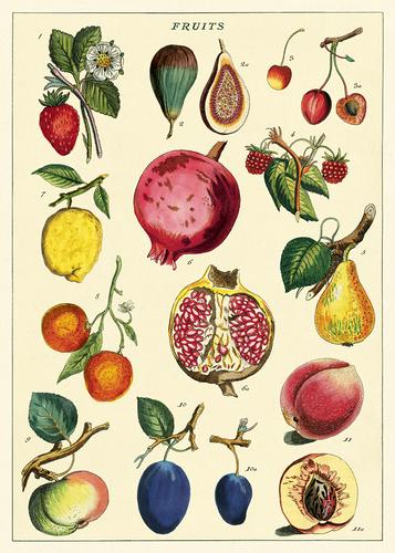 Fruits Pomegranate Poster