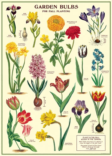 Garden Bulbs Poster