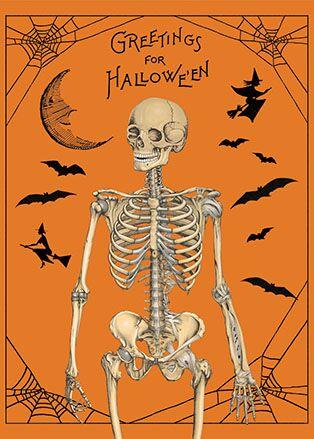 Halloween Greetings Poster