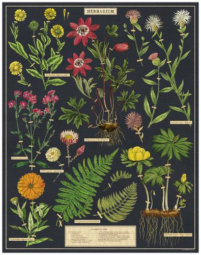 Herbarium 1000-Piece Puzzle