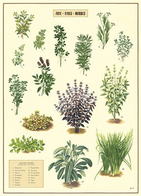 Kitchen Herbs Poster