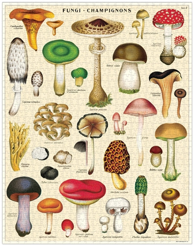 Mushrooms 1000-Piece Puzzle