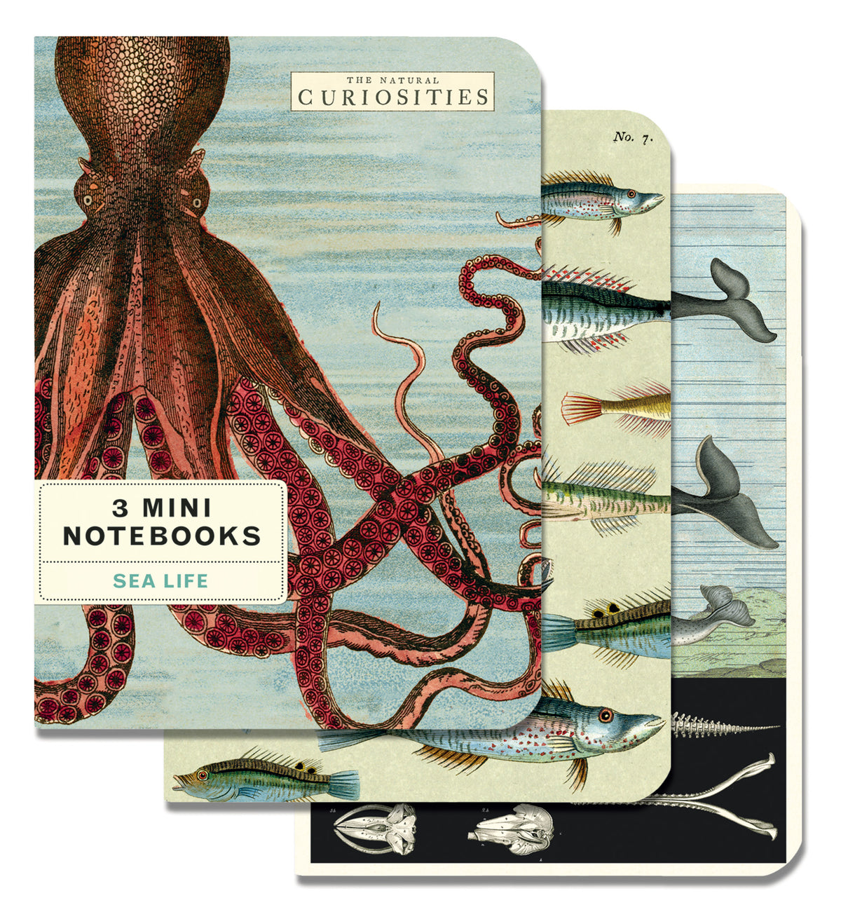 Notebook Sets