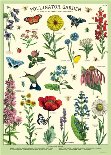 Pollinator Garden Poster