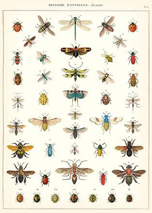 Tiny Insects Poster