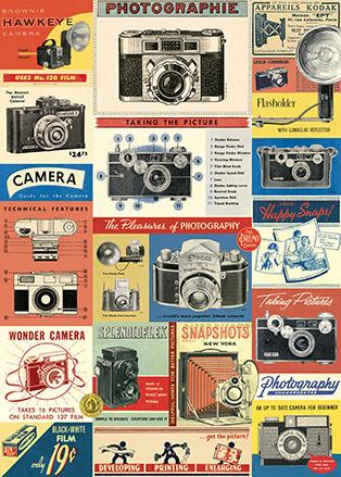 Vintage Cameras Poster