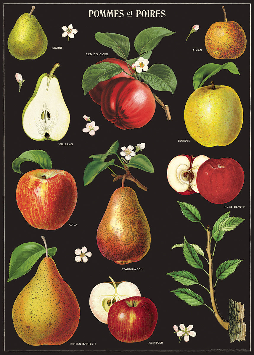 Apples and Pears Poster