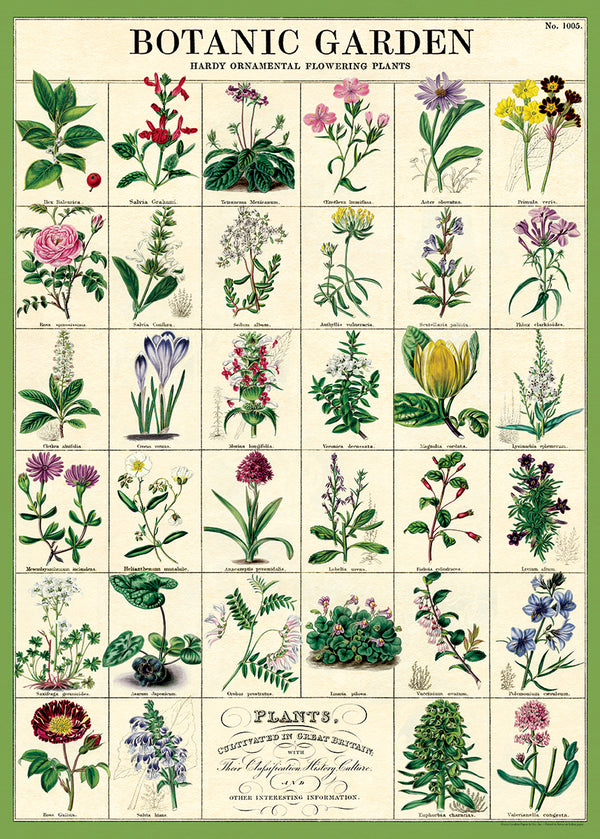 Botanic Garden Poster - Cartolina