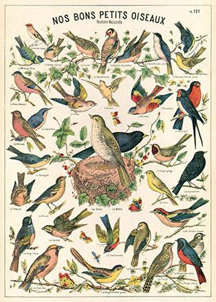 Nos Bons Petits Oiseaux Poster