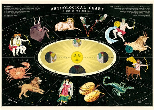 Zodiac 2 Astrological Chart Poster